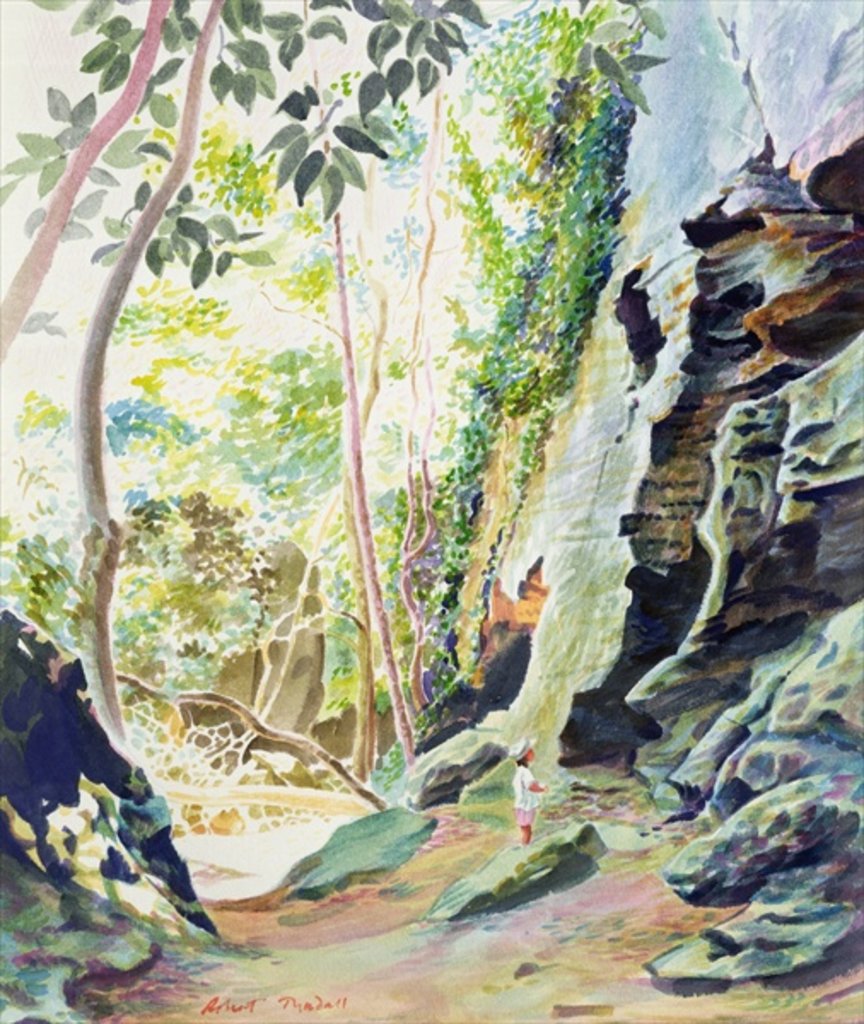 Detail of Rocks near Nowra, N.S.W. Australia by Robert Tyndall