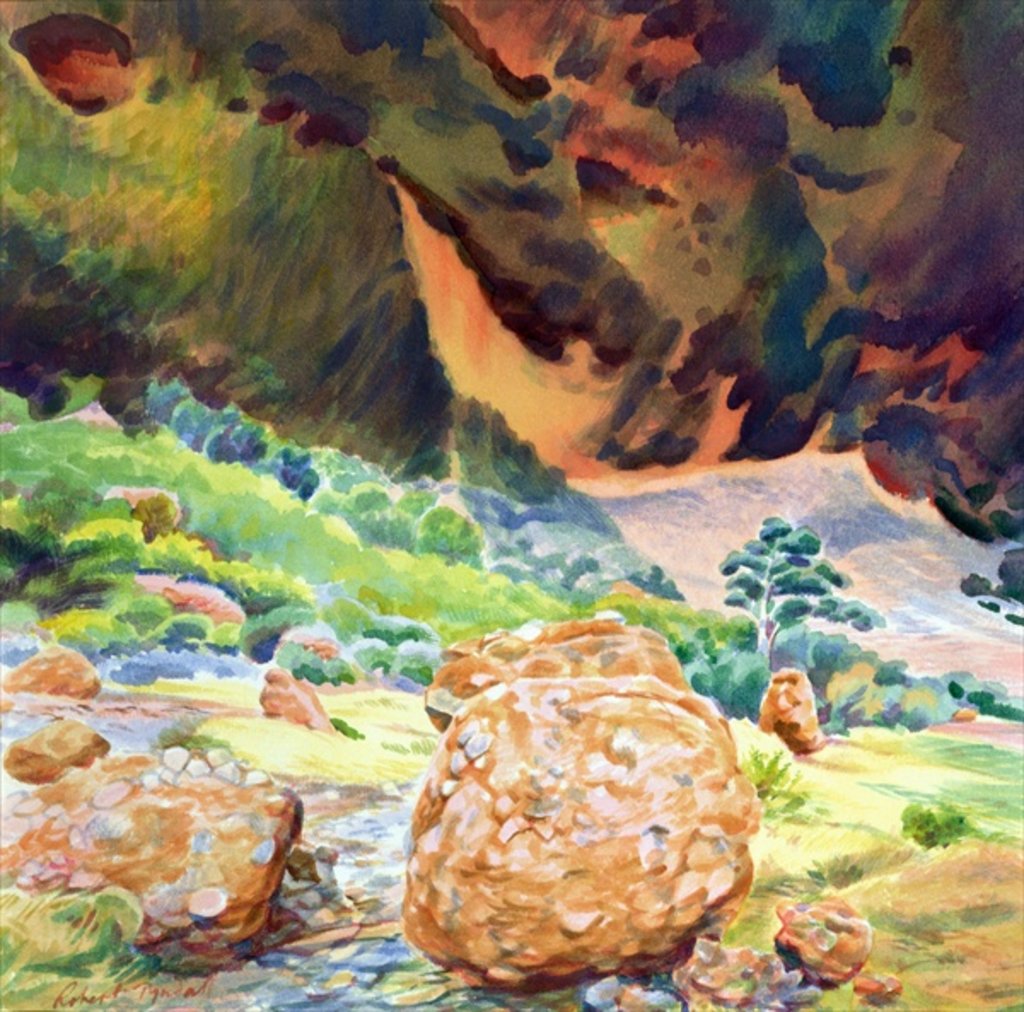 Detail of Aspects of Kata Tjuta I, Australia by Robert Tyndall