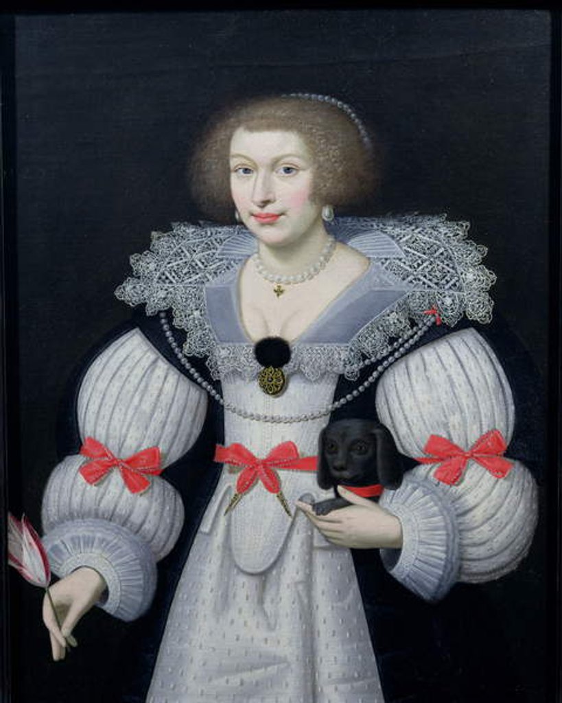 Detail of Portrait of a lady holding a dog and a tulip, c.1620 by English School