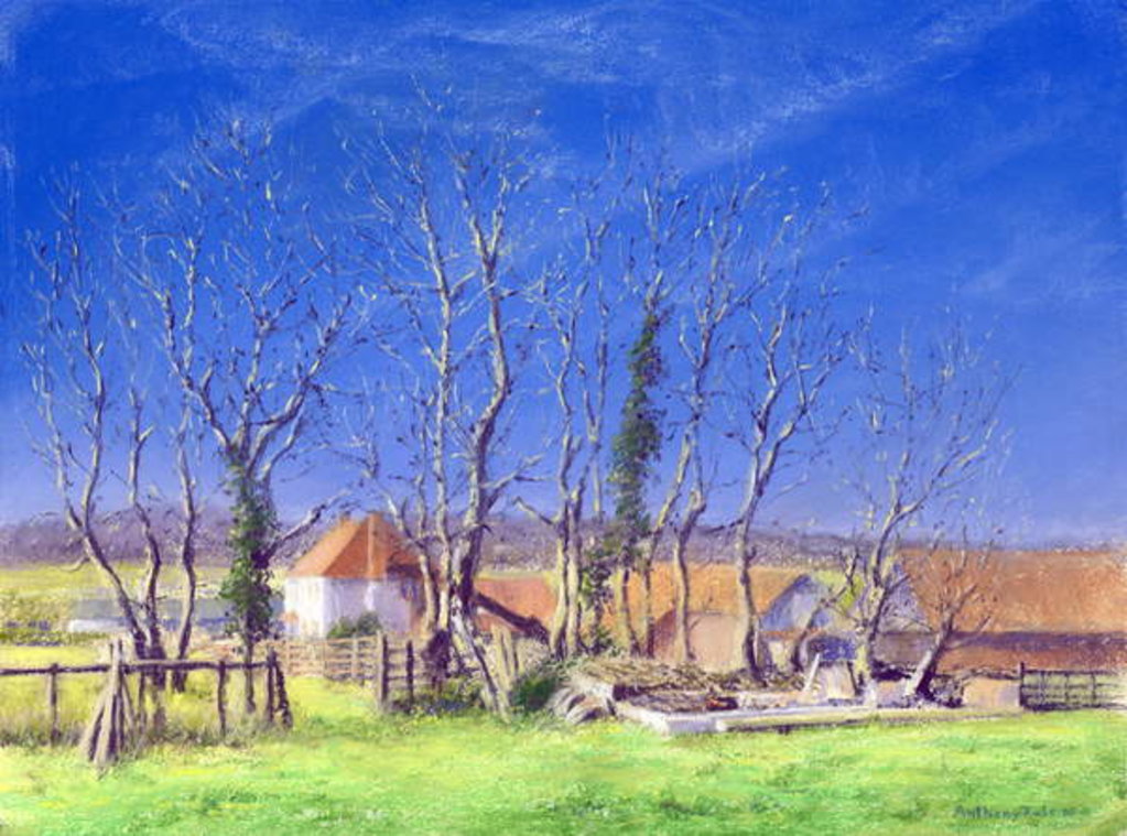 Detail of Brockwell Farm, 2005 by Anthony Rule