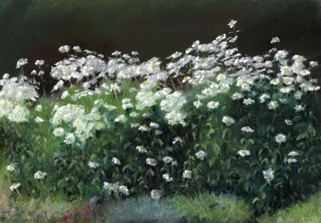 Detail of Shasta Daisies, 1992 by Anthony Rule