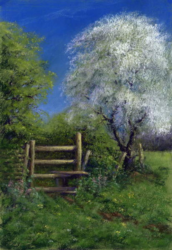 Detail of Springtime by the Stile, 2013 by Anthony Rule