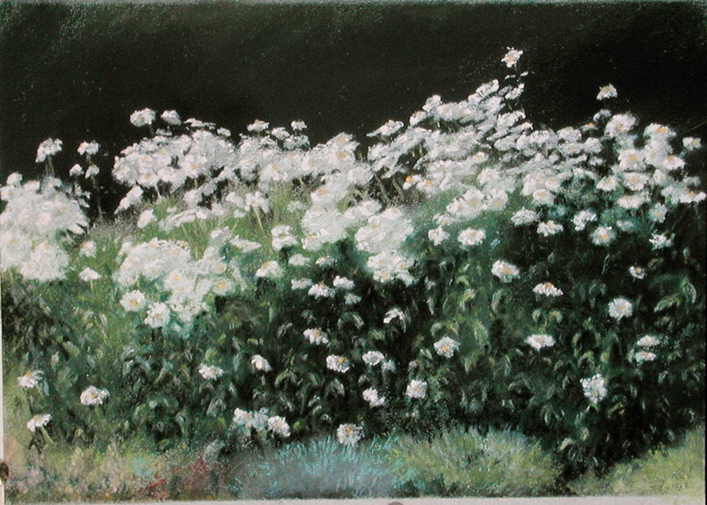 Detail of Shasta Daisies, 1992 by Anthony Rule