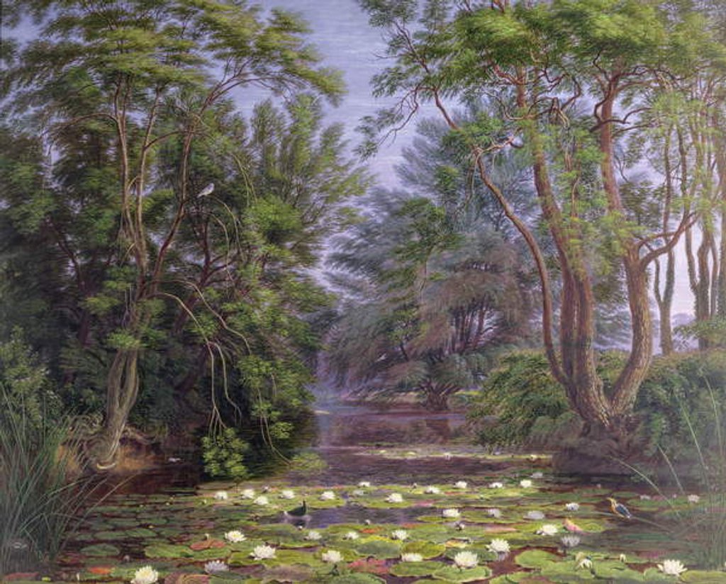 Detail of River Cherwell Waterlilies, 1851 by William Turner