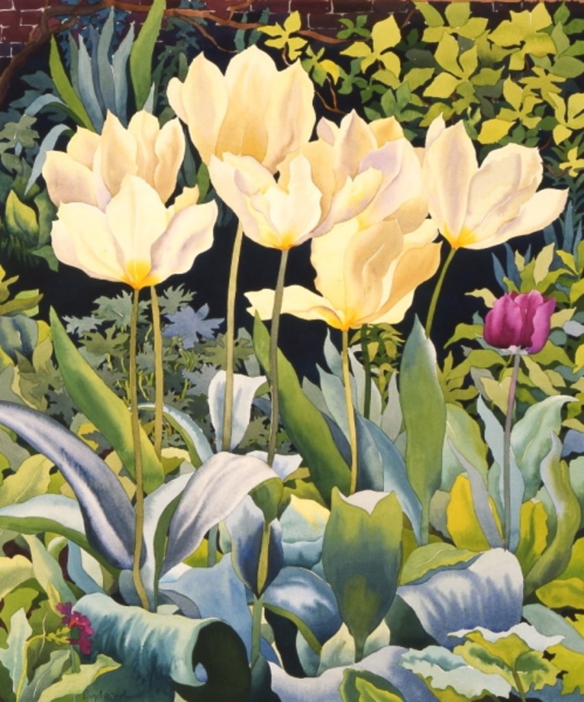 Detail of Pale Tulips by Christopher Ryland