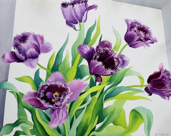 Detail of Purple Fringe Tulips, 2015 by Christopher Ryland