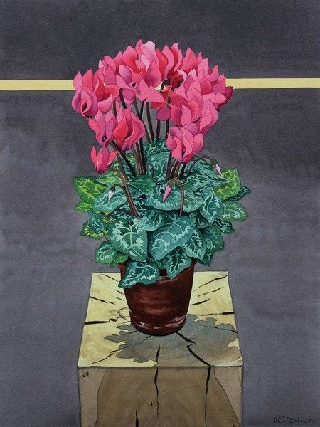 Detail of Still Life Cyclamen, 2014 by Christopher Ryland