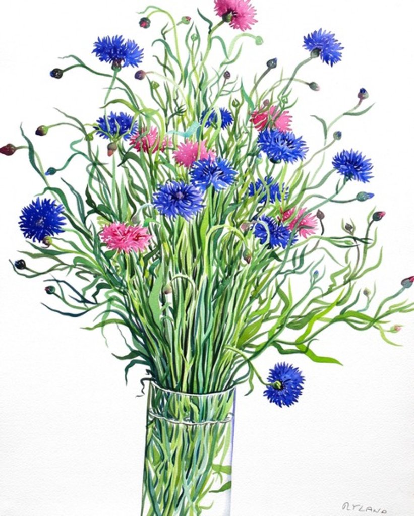 Detail of Cornflowers, 2015 by Christopher Ryland