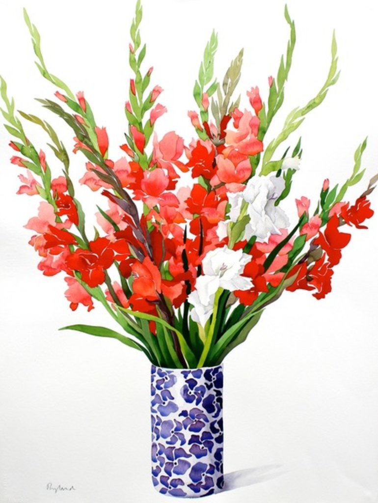 Detail of Red and White Gladioli by Christopher Ryland