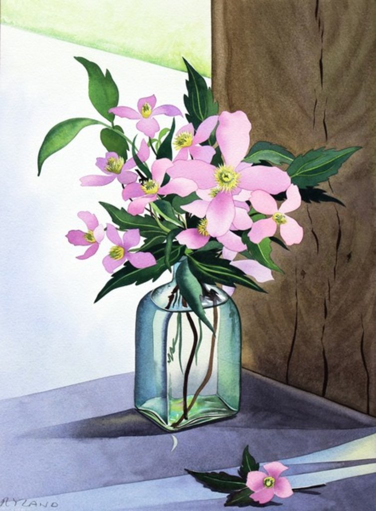Detail of Still Life Pink Clematis, 2015 by Christopher Ryland