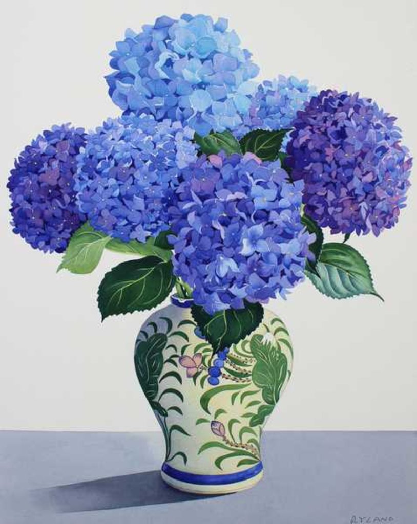 Detail of Blue Hydrangeas, 2016 by Christopher Ryland