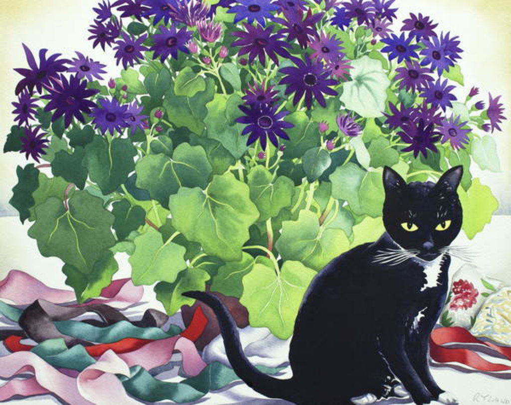 Detail of Senetti Plant and Cat, 2018 by Christopher Ryland