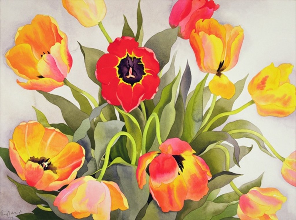 Detail of Orange and Red Tulips, 1992 by Christopher Ryland