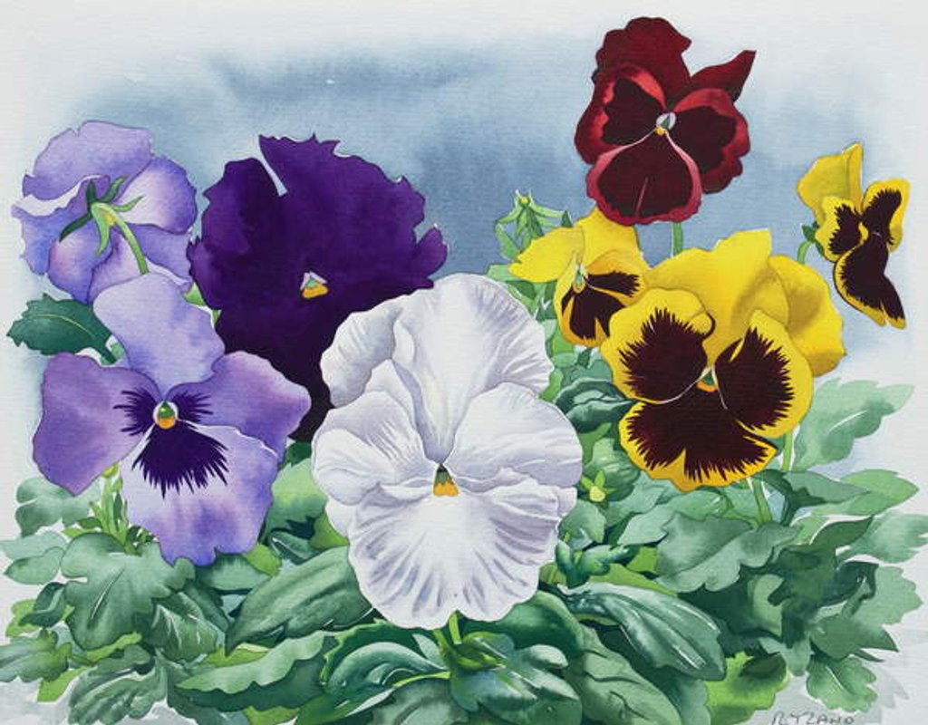 Detail of Pansies, 2019 by Christopher Ryland