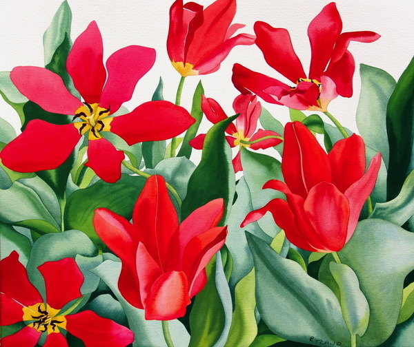 Detail of Shakespeare Tulips by Christopher Ryland