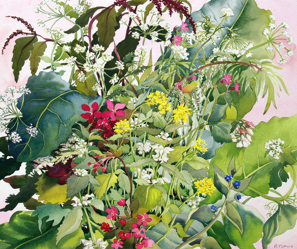 Detail of Wild Flowers with Comfrey and Campion by Christopher Ryland