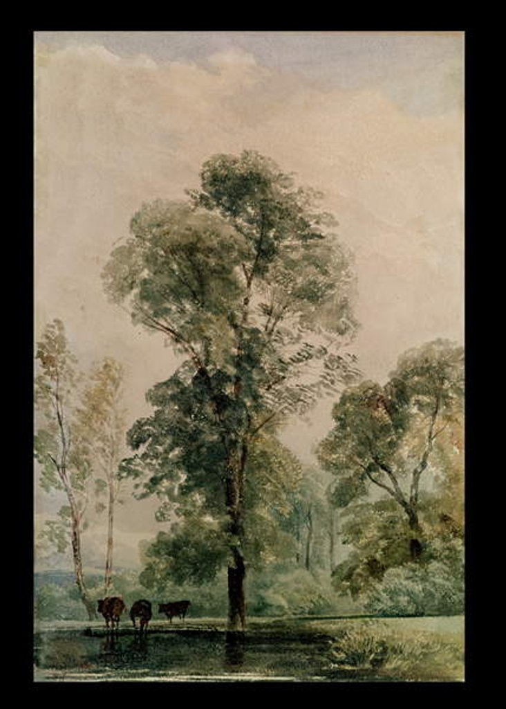 Detail of Watering Place by Peter de Wint