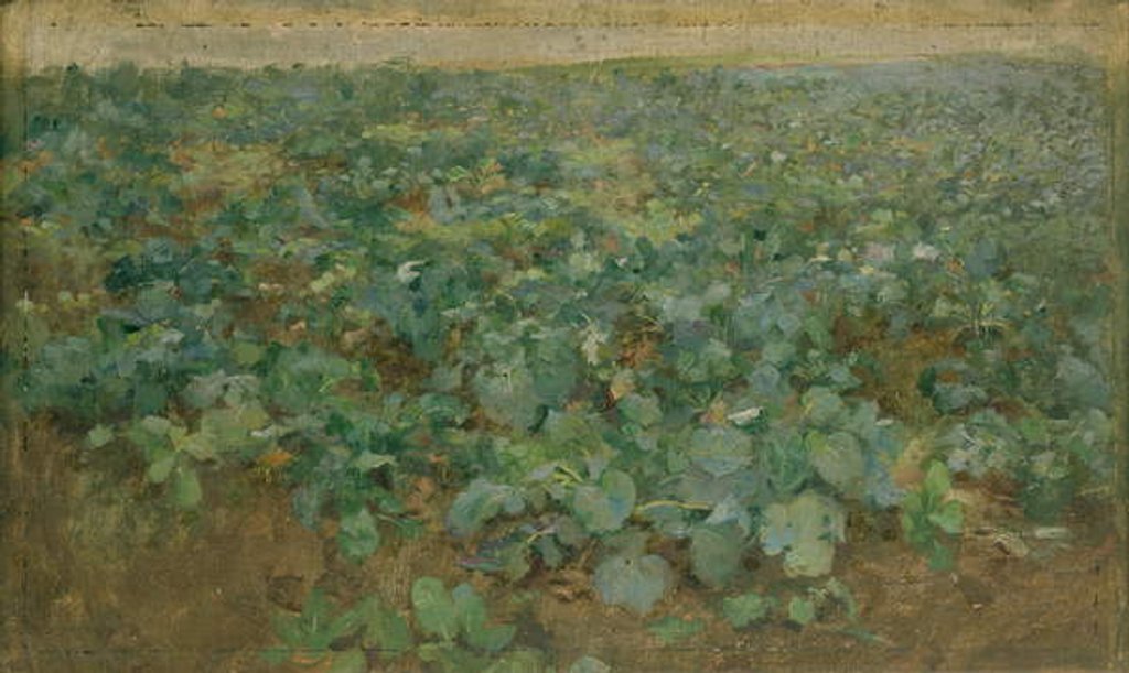 Detail of The Turnip Field by William Edward Stott