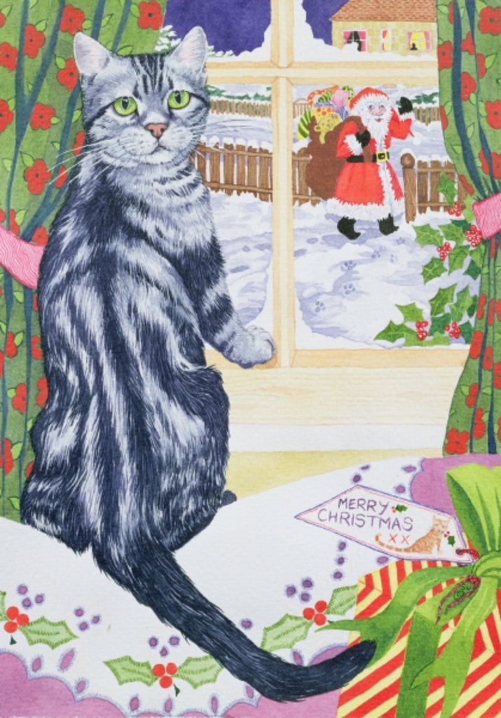 Detail of A Christmas visitor for Toby by Suzanne Bailey