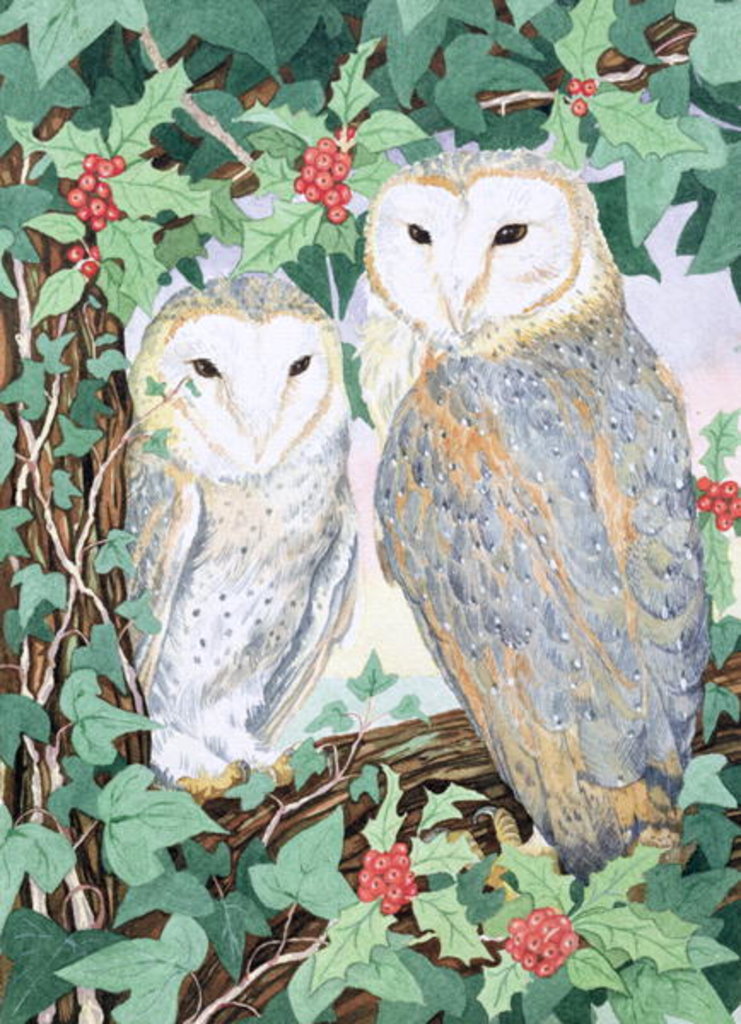 Detail of Barn Owls by Suzanne Bailey