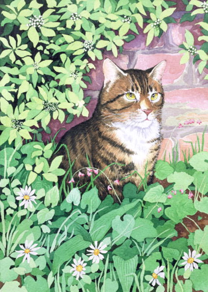 Detail of Jackie's Cat by Suzanne Bailey