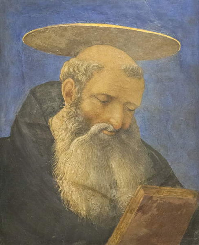 Detail of Head of a tonsured, bearded saint, c.1440-44 by Domenico Veneziano