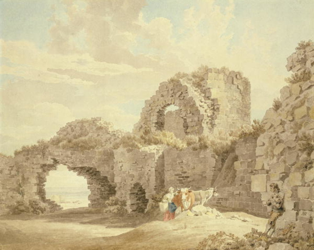 Detail of Ruins of Pevensey Castle by Michael Rooker