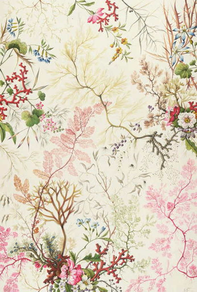 Detail of Seaweed design for silk material by William Kilburn