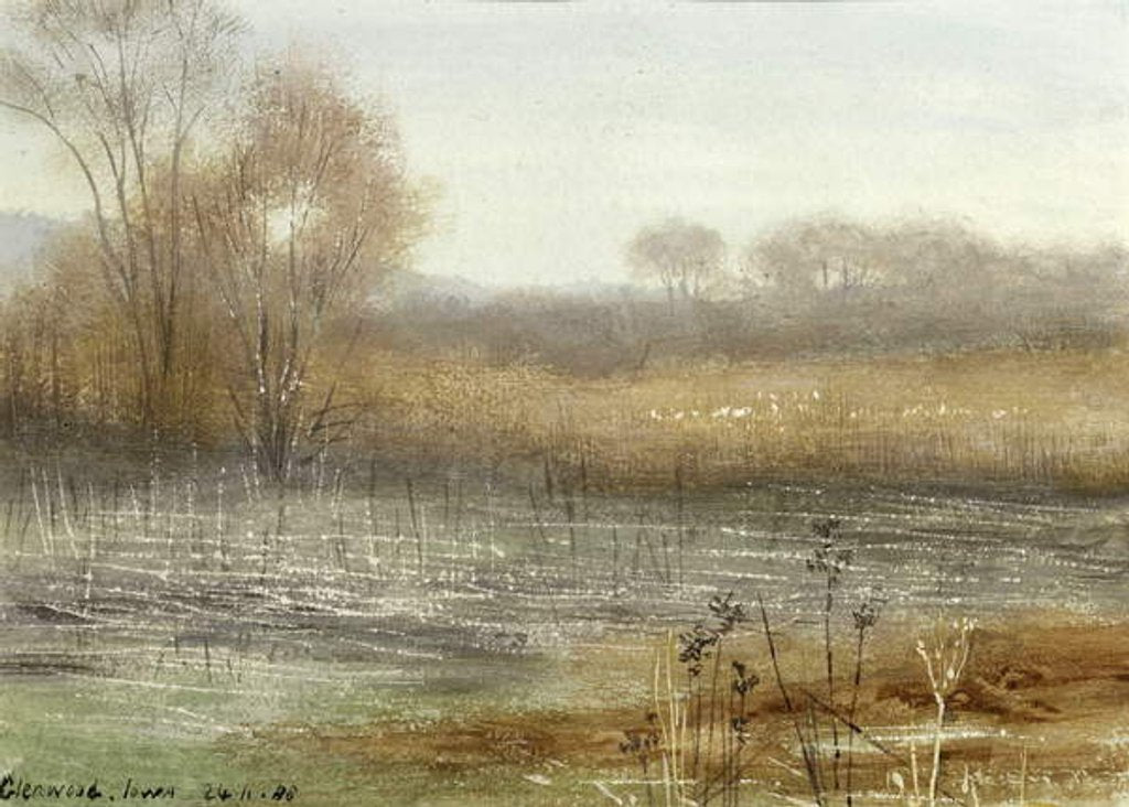 Detail of Glenwood, Iowa, 1888 by Edward Clifford