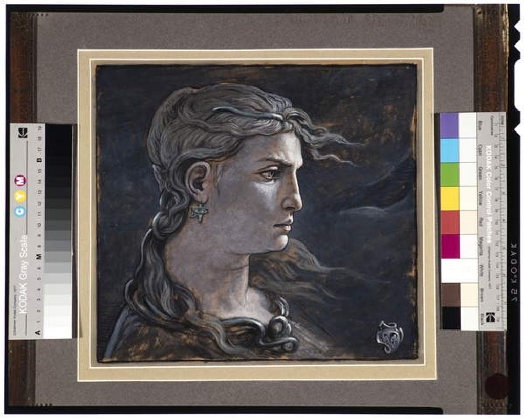 Detail of Head of Medusa, 1878 by Elihu Vedder