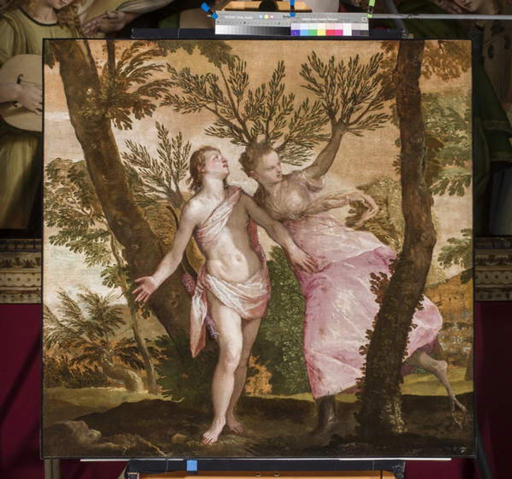 Detail of Apollo and Daphne, c.1560-65 by Veronese