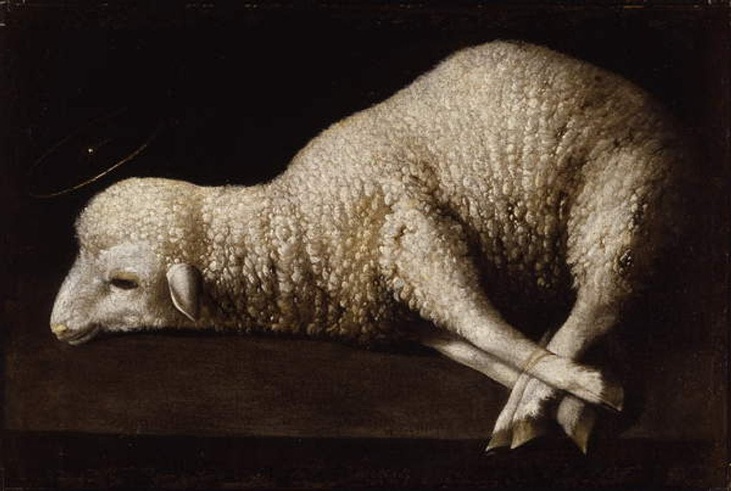 Detail of Agnus Dei, c.1635-40 by Francisco de Zurbaran