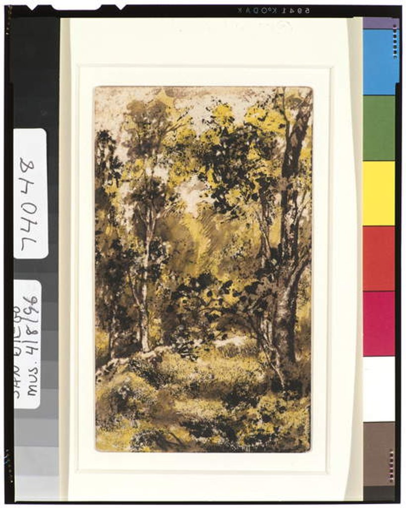 Detail of Forest Scene, 1901-15 by Ralph Albert Blakelock