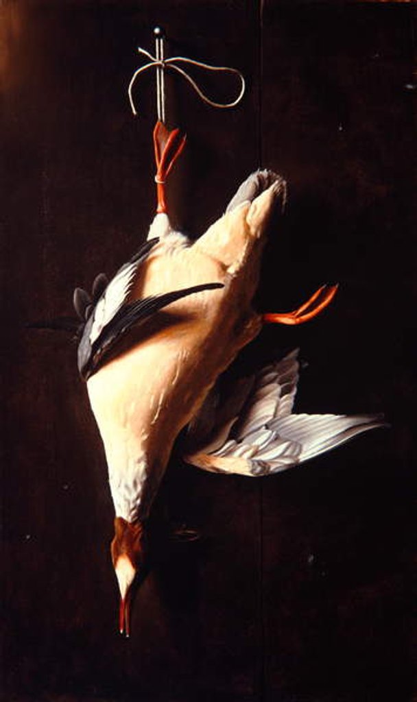Detail of Merganser, 1883 by William Michael Harnett