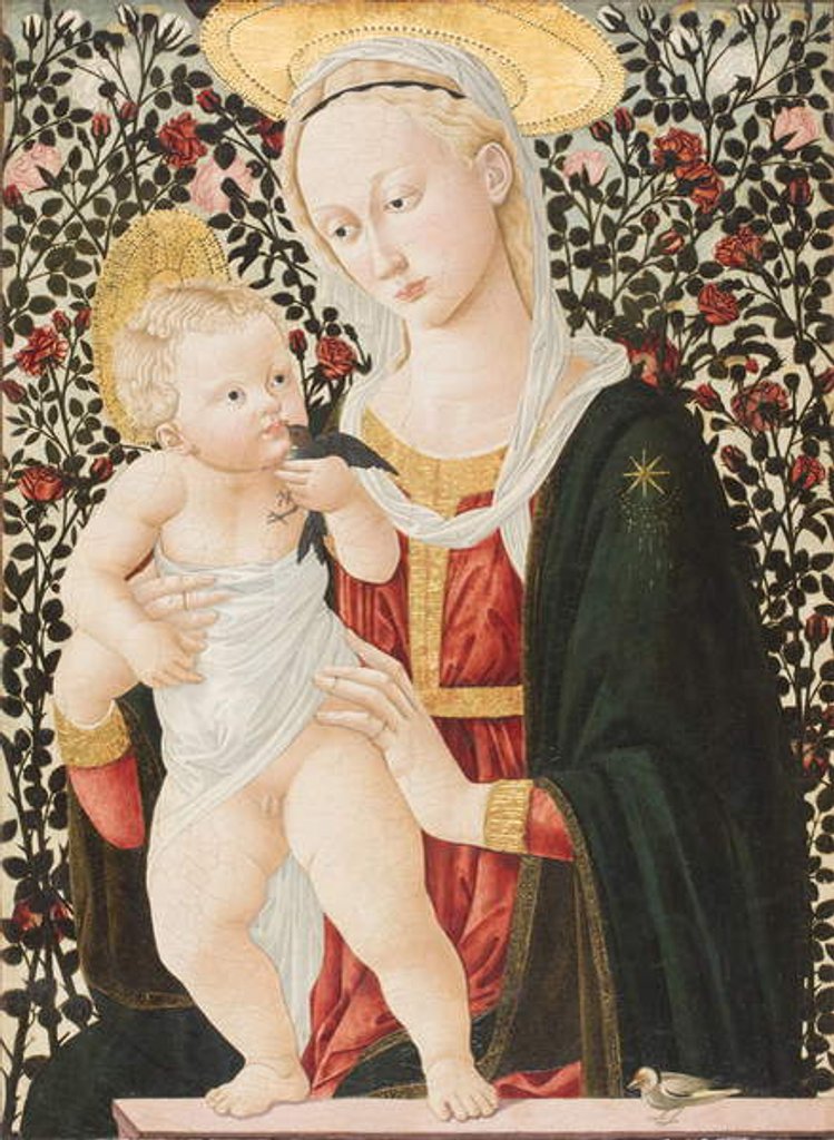 Detail of Madonna of the Roses, c.1485-90 by Pseudo Pier Francesco Fiorentino