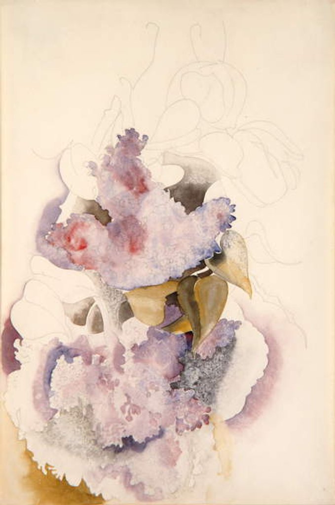 Detail of Lilacs, c.1917 by Charles Demuth
