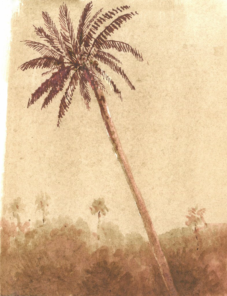 Detail of Palm Tree, 2015 by Lincoln Seligman