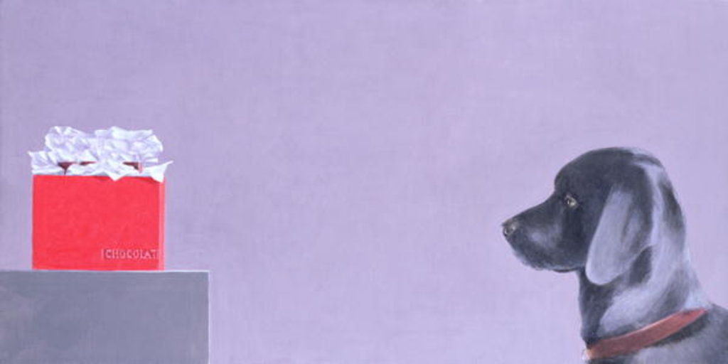 Detail of Chocaholic, 2022 by Lincoln Seligman