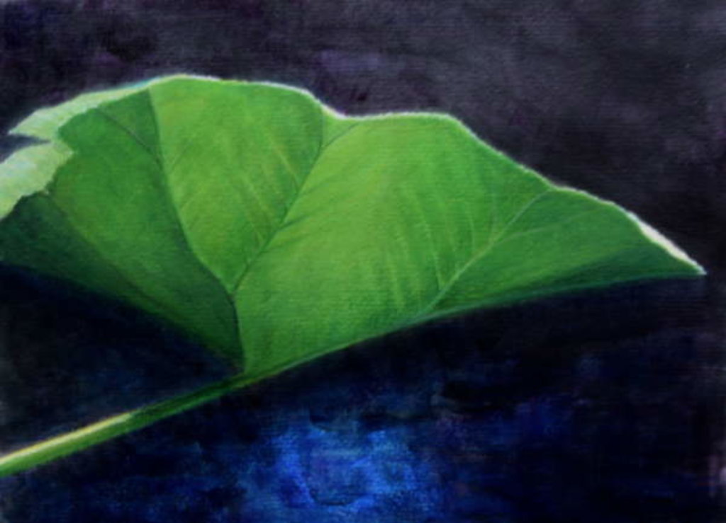 Detail of Gunnera Leaf by Lincoln Seligman