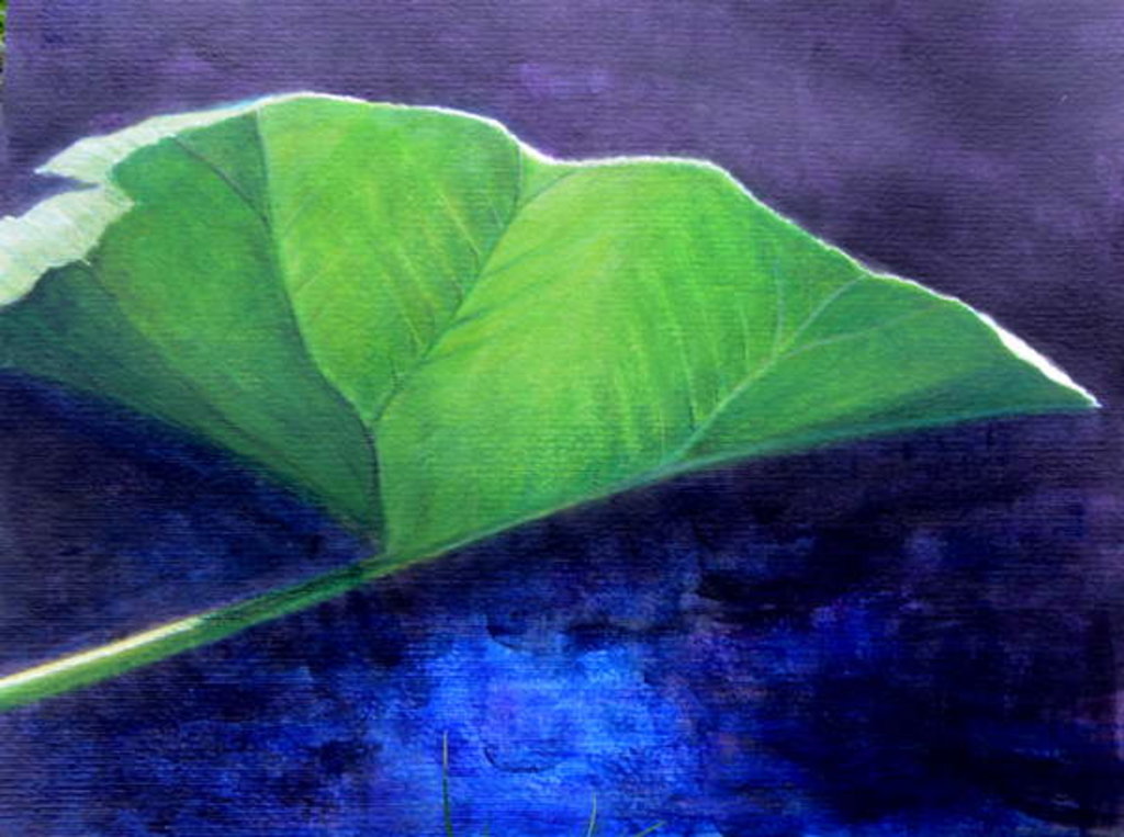 Detail of Gunnera Leaf by Lincoln Seligman