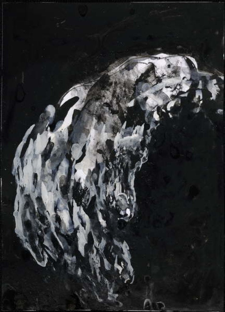 Detail of Hand of a woman in her eighties, 2007 by Stephen Finer