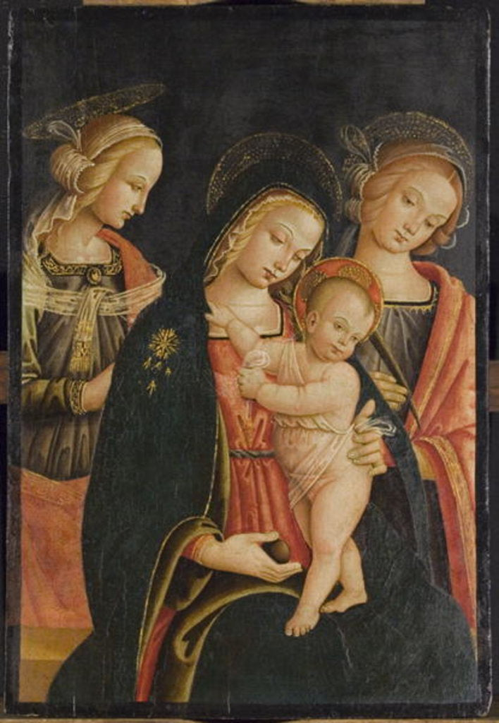 Detail of The Madonna and Child with Two Female Saints, c.1500 by Master of the Cortona Tondo