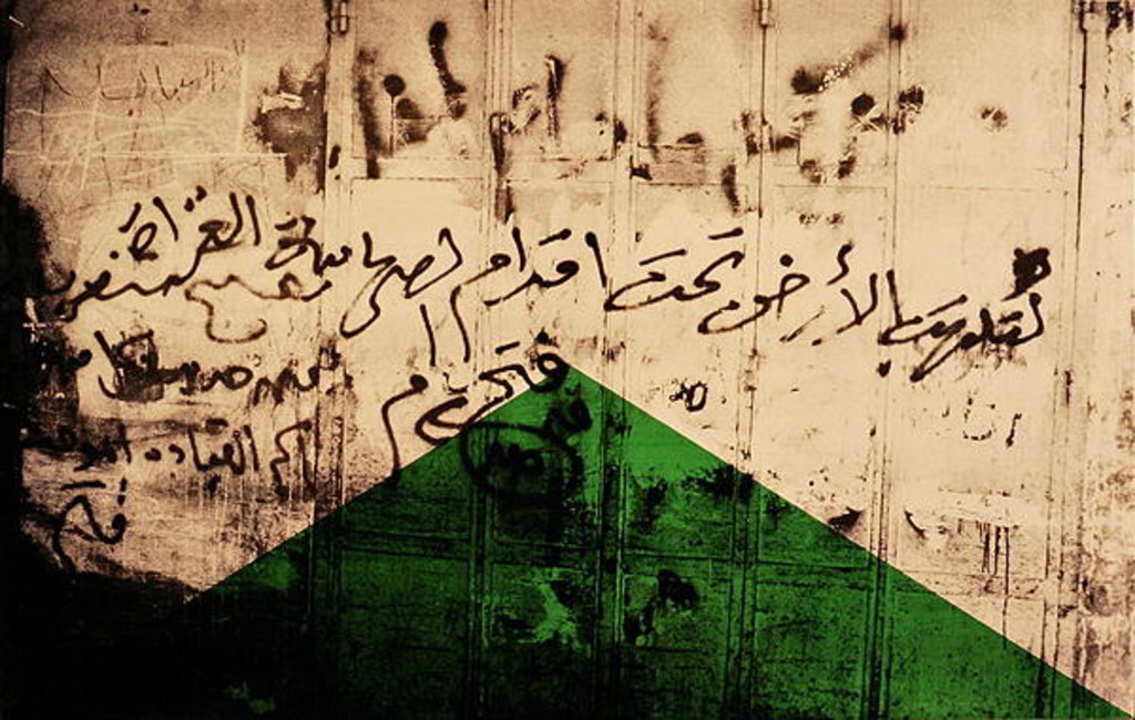 Detail of Flag I, 1992 by Laila Shawa