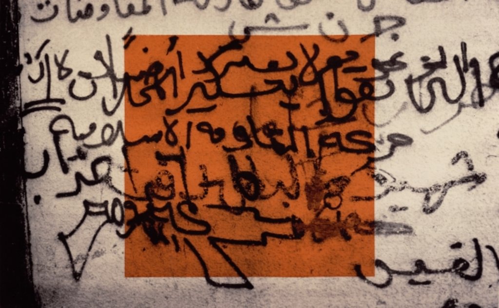 Detail of A Gun for Palestine, 1992 by Laila Shawa