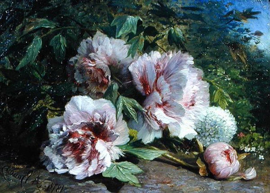 Detail of Study of Peonies, 1874 by Amedee Baudit