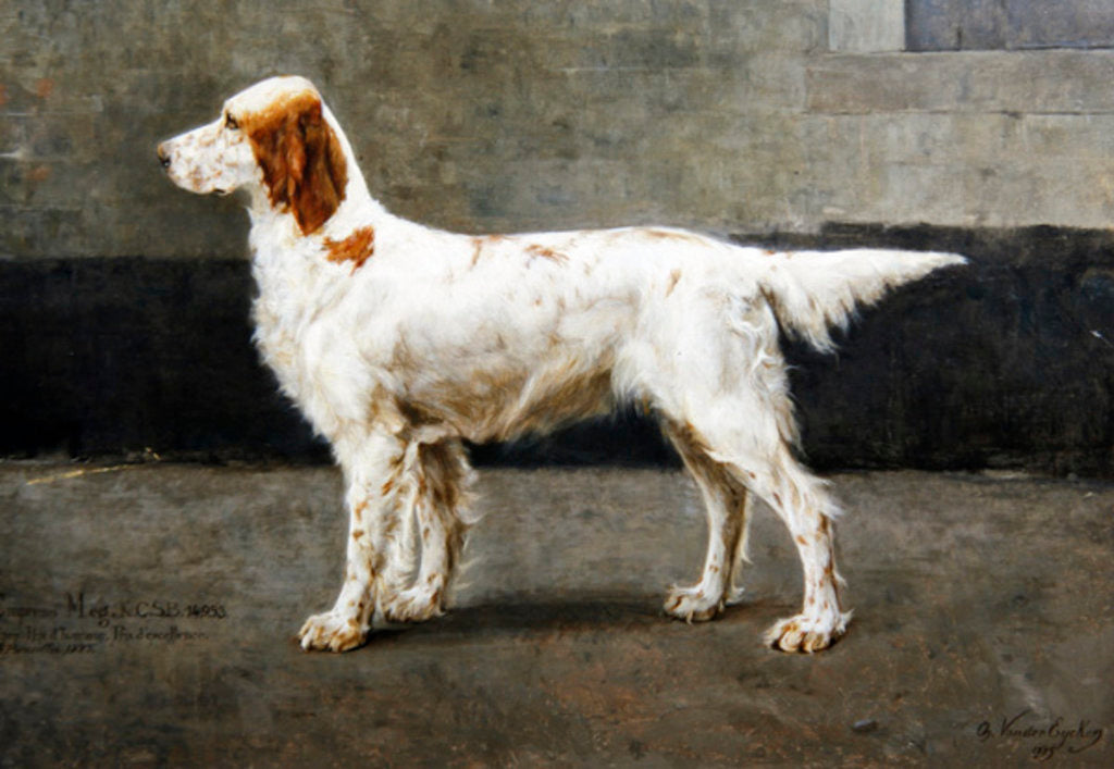 Detail of Empress Meg, KCSB, 14953, 1885 by Charles van den Eycken