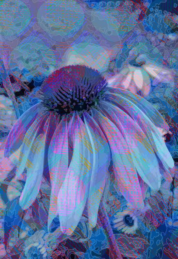 Detail of Cone Flower, 2015 by Scott J. Davis