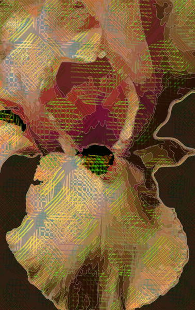 Detail of Bearded Iris, 2015 by Scott J. Davis