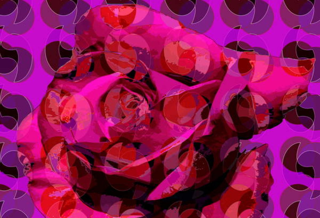 Detail of Rose, 2010 by Scott J. Davis