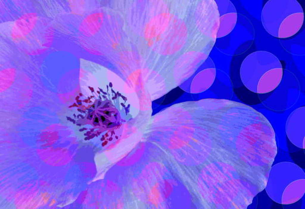 Detail of Poppy, 2010 by Scott J. Davis